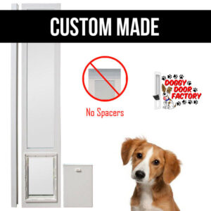 Affordable Single Pane Door